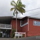 【하와이 여행】하와이 여행가셨다면, 코나커피농원에서 무료투어와 무료시음 해보세요~ 이미지