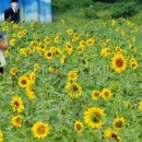 호수공원 2주차장옆 이미지