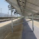 두성 태양광발전소 이미지