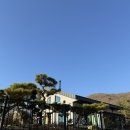 브리사 마리나 이미지