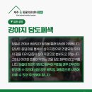 제주24시숨동물의료센터 이미지