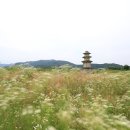 구황동 티스토리