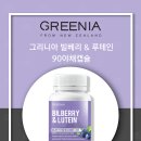빌베리 이미지