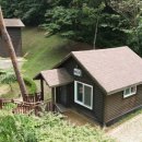 숲에 머물다 이미지