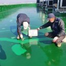 선진산업 이미지