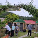 노두길민박 이미지