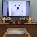 리멤버파크 이미지