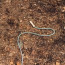 폴짝폴짝 줄넘기 이미지