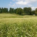 서나라농장 이미지