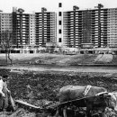 압구정-105 이미지