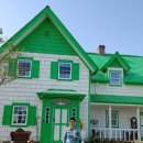 나무부동산공인중개사사무소 이미지