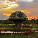 정전70주년 기념  이미지