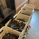 노블레스 스크린 이미지