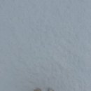 오캄캠핑 이미지