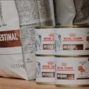 베스트 프렌즈 동물병원 이미지