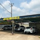 프로카 모터스 이미지