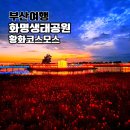 꽃나루공원화장실 | 화명생태공원 황화코스모스 부산 10월 꽃구경 가볼만한곳 구포나루축제 2025 후기