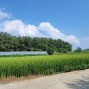 성덕동-3 이미지