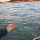 2020-주130 이미지