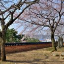 영해면사무소 이미지