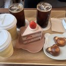 천리안 캠프힐 이미지