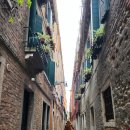 베니스통닭 이미지