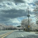 포시즌호스텔 이미지