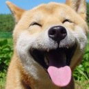 베이비 몽 이미지