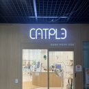 캣플헤븐 엘리스빌 인천서구점 | 고양이를 사랑하는 커플들을 위한 청라데이트 ‘캣플헤븐 루원시티인천점 ’