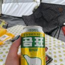 초록슈피아 캠핑장 이미지