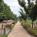 증산수도계곡캠핑장 이미지