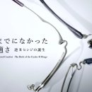 유래안경원