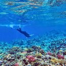 팀 드래곤 복싱 이미지