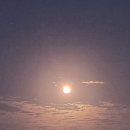 이인상농장 | [일상 포토덤프 시즌2] 일상포토덤프 7주차 일기 : 가을은 식욕의 계절 &amp; 이인상베이커리카페 2번째 방문