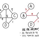 신장군집 이미지