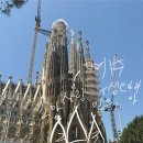 거북민박 | [🇪🇸 바셀 3박4일/Day1-3]Hot Summer☀️🫠_인천공항 스카이허브 라운지 후기