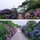 동광리-6 이미지