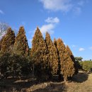 송원농원 이미지