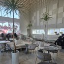 맥문동 | 상무지구 카페 맥문동 신상 딸기빙수 후기