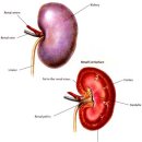 해옴동물병원 이미지