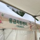 대신면문화복지센터화장실 | 2025 중랑서울장미축제 방문 후기-일정, 위치, 꿀팁까지! (실시간 개화 상황.)