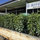 해찬농장 이미지