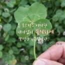 낭만포차99번 우리지금여수 이미지