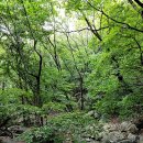 문동휴양림 주차장 이미지