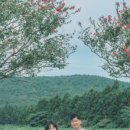 솔바람사이길 이미지