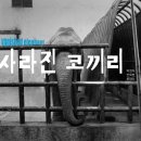 반포1동_742-7 이미지