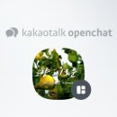 도테라힐링의집