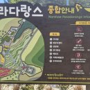 남해-137 | 남해여행지 두모마을 파라다랑스 약3만평 유채꽃밭(4월8일)