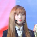 꼽슬이네 Daum카페