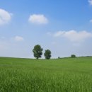 하우스콘서트 6월 이미지